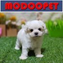 모두와샵 이미지