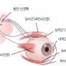 윤활법원