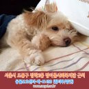 방아골 이미지