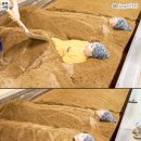 황제테라피 이미지