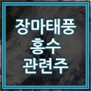 남해아그로팜주식회사 | 장마 태풍 홍수 관련주 테마주 대장주 모음