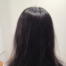 엘리시아헤어 이미지