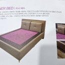 자연치유해독센터이엔아이지분당총판