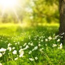 수원-0652 이미지