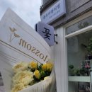 플로라블러썸 이미지