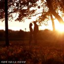 숲에향기 이미지