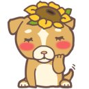 동백주유소 이미지