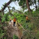 서천소방서-50 이미지