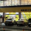 노마진펫스토어 - 천안시 동남구 신촌4로 25 | 노마진펫스토어
