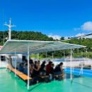 남성중로 | 서귀포유람선 제주투어패스 무료 승선 후기 제주도남쪽여행지