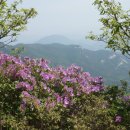 경산가-봄
