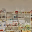 애견멀티샵 이미지