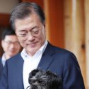 토리 이미지