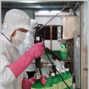 지리산화개깊은골 이미지