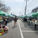 거함대로 이미지