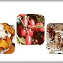 서포한의원 이미지