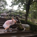 부암역 5번 출구 교통섬 | 대만 육복촌 테마파크 놀이공원 놀이기구 Leofoo Village | 타이베이 놀이공원 동물원