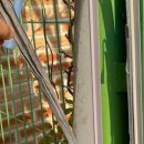 공항초등학교병설유치원 이미지