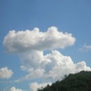 풍남교 Daum카페