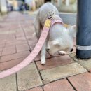반여사진관