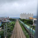 옥천목욕탕(사우나) 이미지