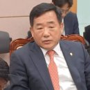 박성민 카카오 검색결과