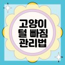 이:은동물병원 이미지