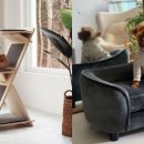 프렌즈독 이미지