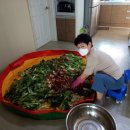 신안동10 이미지