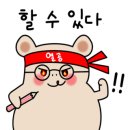 헬씨하이 이미지