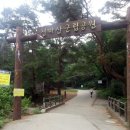 21살 여자 혼자 등산!! 천마산 정상을 찍고왔다