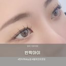 한티역속눈썹 펌포인트연장 잘하는곳 반짝아이 후기