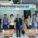 맘꽃 이미지