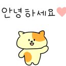 베베캣 고양이 이미지