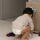 ㈜해성그린환경 | 덴마크 친환경 기저귀 밤보네이처 5단계 팬티형 사용 후기 #기저귀추천 #밤보네이처