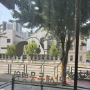 과잉진료 없이 따뜻한 배곧 만세동물병원