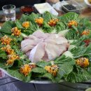 황금수산 | 대전 방어 맛집 괴정동 황금바다수산 내돈내산 후기