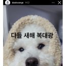 잭슨PC방 | 여기알바생때문에벌써4번째방문이네요.