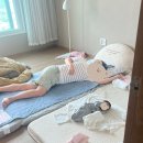 슈퍼세탁맨 | 아기 매트리스 추천 몽제 매트리스 후기, 아기 것이 탐나서 내것도 산 물건