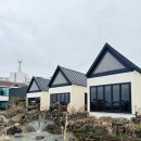 노을빛 펜션 | 제주가성비숙소 애월 근처 독채펜션 노을빛 후기