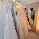 11650-14-49-11 | 모스앤코튼-웨딩스냅 맛집 | 무료 대여 드레스 14벌 피팅 후기 추천!