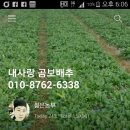 용운농장 이미지