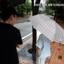 (버스)롯데시네마 이미지