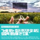 무진안경원 이미지