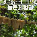 중마장애인복지관 이미지