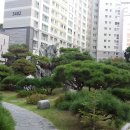 위례진주공인중개사사무소 이미지