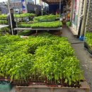 경기농약사 이미지