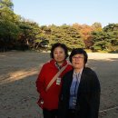 구미초등학교 이미지