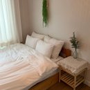 애월마당 | 제주 애월숙소 추천 글라애월 마당있는 반려동반 독채 감성숙소