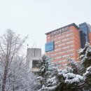 초등 창의수학지도자 이미지